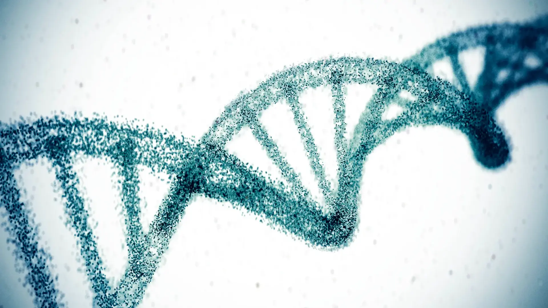 Double helix dna model